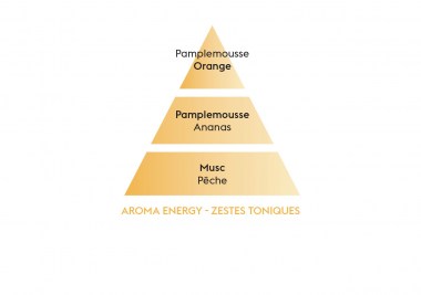 AROMA ENERGY - ZESTES-TONIQUES FR
